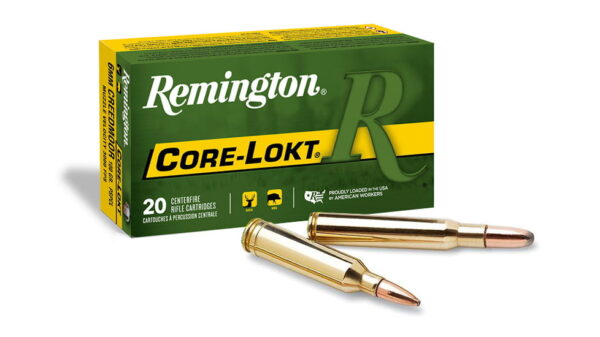 remington-core-lokt-centerfirerifle-cartridges-reduced-pressure-45-70-government-core-lokt-soft-point-405-grain-20-rounds-29473-main-1